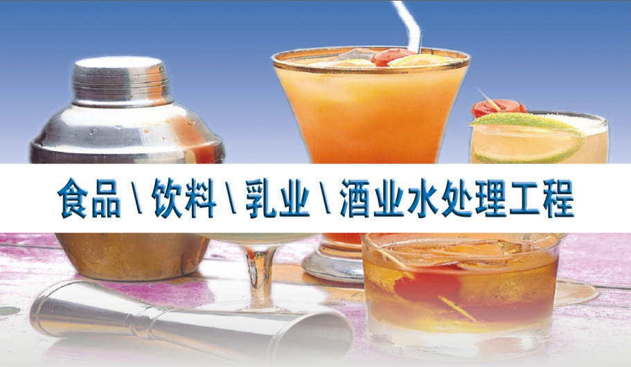 食品/飲料/乳業(yè)/酒業(yè)水處理工程